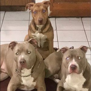 Meet your Posher, Angel